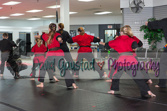 Midwest Professional Karate Black Belt Test 2016