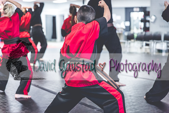 Midwest Professional Karate Black Belt Test 2016