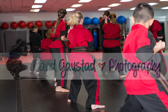 Midwest Professional Karate Black Belt Test 2016