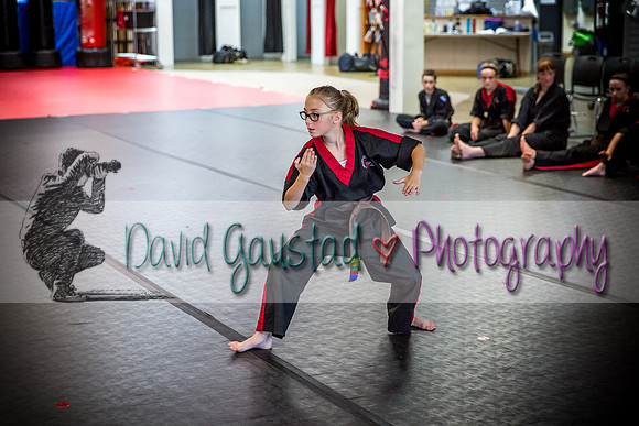 Midwest Professional Karate Black Belt Test 2016
