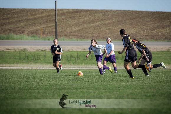 DeForest Norski soccer vs Rock on 5/21/2016