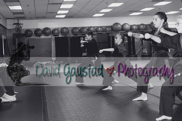 Midwest Professional Karate Black Belt Test 2016