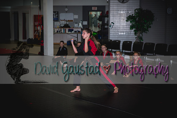 Midwest Professional Karate Black Belt Test 2016