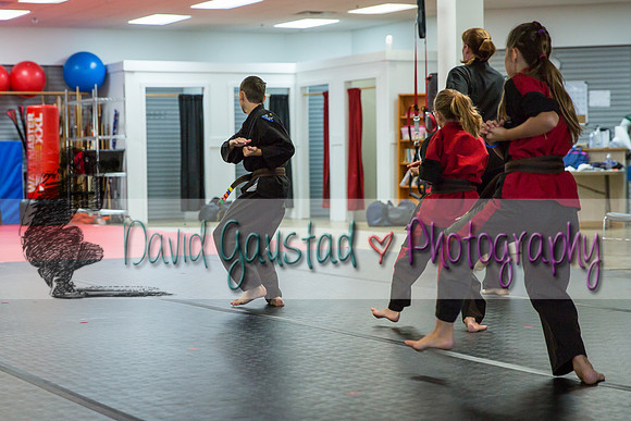 Midwest Professional Karate Black Belt Test 2016