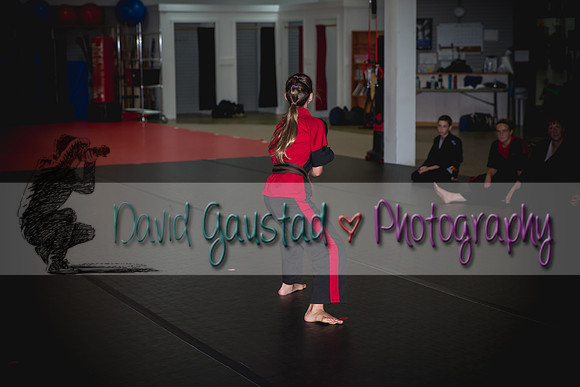 Midwest Professional Karate Black Belt Test 2016