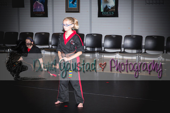 Midwest Professional Karate Black Belt Test 2016