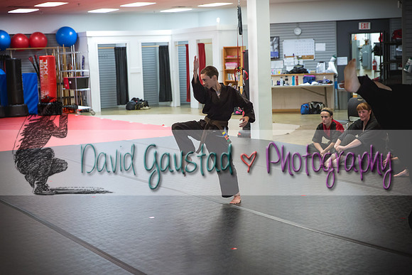 Midwest Professional Karate Black Belt Test 2016