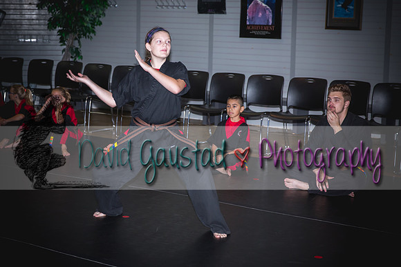 Midwest Professional Karate Black Belt Test 2016