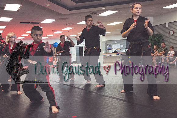 Midwest Professional Karate Black Belt Test 2016