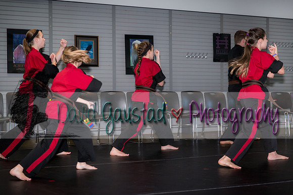 Midwest Professional Karate Black Belt Test 2016