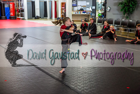 Midwest Professional Karate Black Belt Test 2016