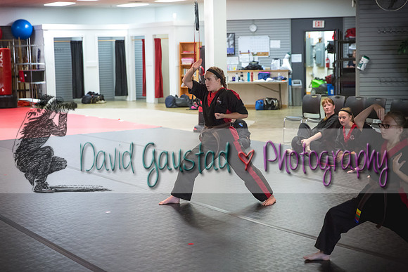 Midwest Professional Karate Black Belt Test 2016