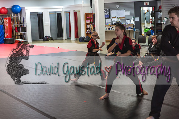 Midwest Professional Karate Black Belt Test 2016