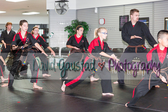 Midwest Professional Karate Black Belt Test 2016