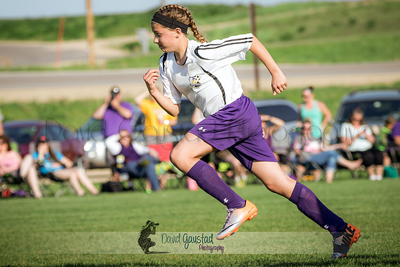 DeForest Norski soccer vs Rock on 5/21/2016