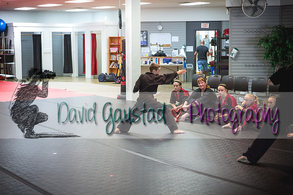 Midwest Professional Karate Black Belt Test 2016