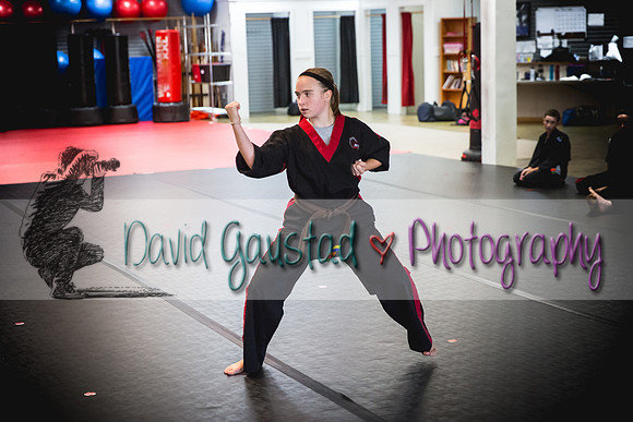 Midwest Professional Karate Black Belt Test 2016