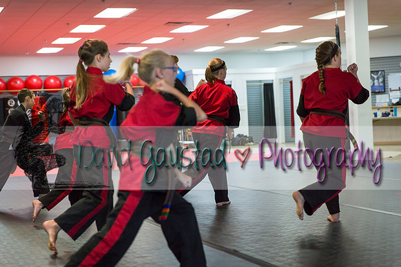 Midwest Professional Karate Black Belt Test 2016