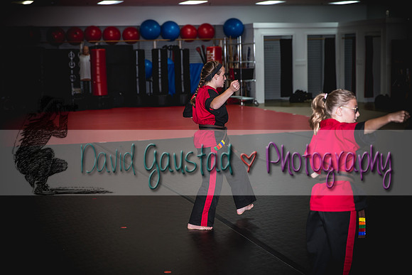 Midwest Professional Karate Black Belt Test 2016