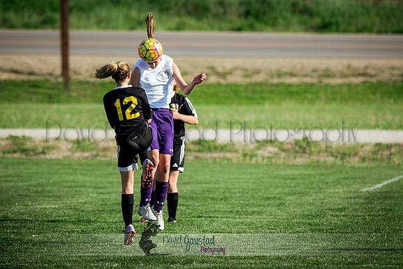 DeForest Norski soccer vs Rock on 5/21/2016