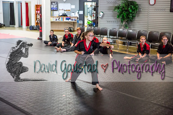 Midwest Professional Karate Black Belt Test 2016
