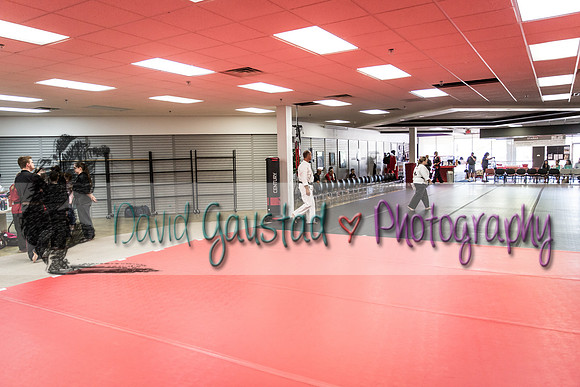 Midwest Professional Karate Black Belt Test 2016