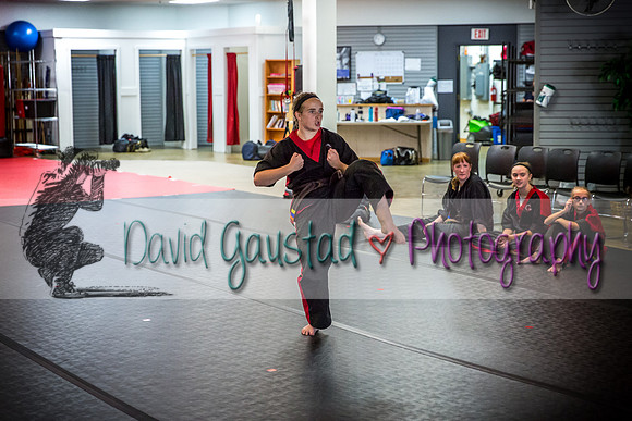 Midwest Professional Karate Black Belt Test 2016