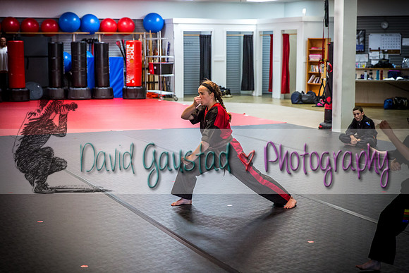 Midwest Professional Karate Black Belt Test 2016