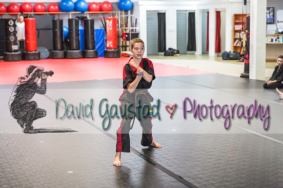 Midwest Professional Karate Black Belt Test 2016
