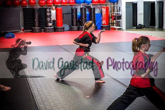 Midwest Professional Karate Black Belt Test 2016