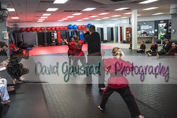Midwest Professional Karate Black Belt Test 2016