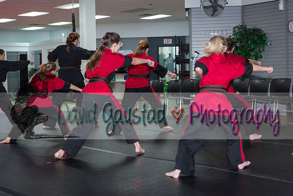 Midwest Professional Karate Black Belt Test 2016