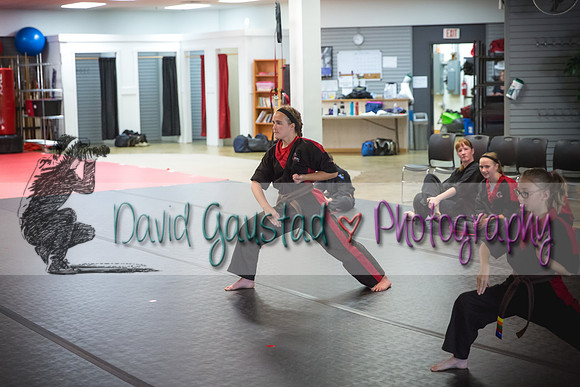 Midwest Professional Karate Black Belt Test 2016