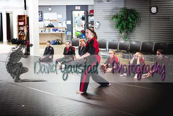 Midwest Professional Karate Black Belt Test 2016