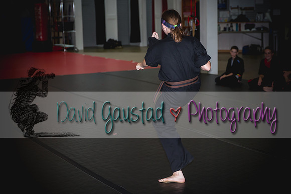 Midwest Professional Karate Black Belt Test 2016