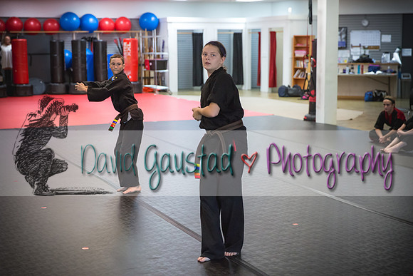 Midwest Professional Karate Black Belt Test 2016