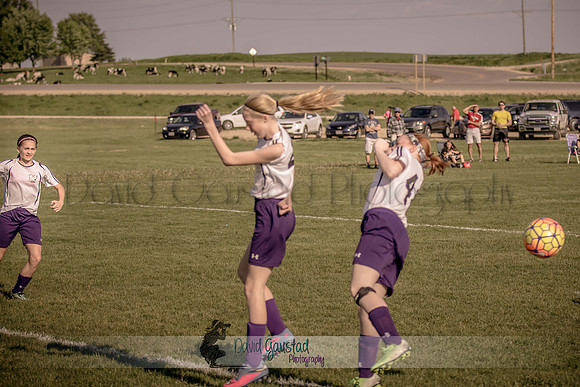 DeForest Norski soccer vs Rock on 5/21/2016