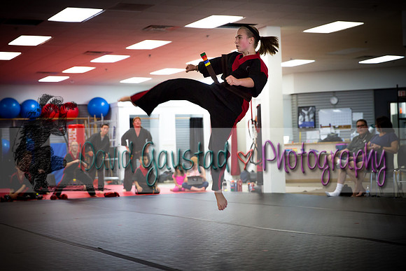 Midwest Professional Karate Black Belt Test 2016