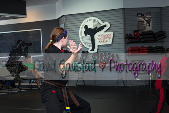 Midwest Professional Karate Black Belt Test 2016