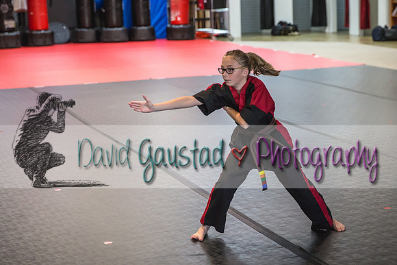 Midwest Professional Karate Black Belt Test 2016