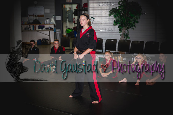 Midwest Professional Karate Black Belt Test 2016