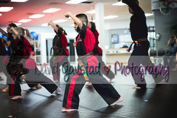 Midwest Professional Karate Black Belt Test 2016
