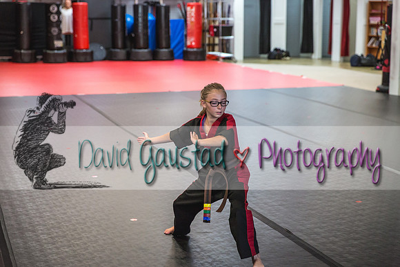 Midwest Professional Karate Black Belt Test 2016
