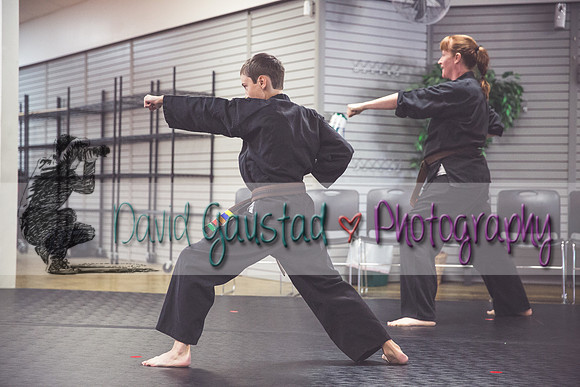 Midwest Professional Karate Black Belt Test 2016