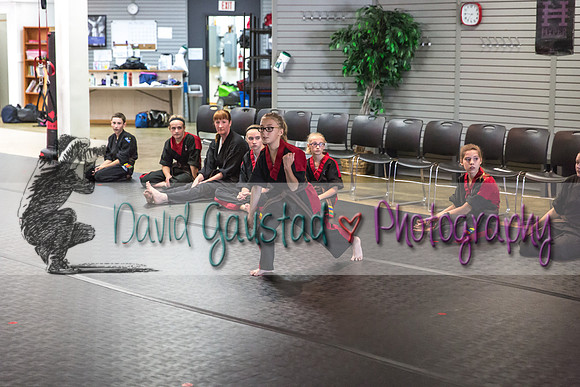 Midwest Professional Karate Black Belt Test 2016