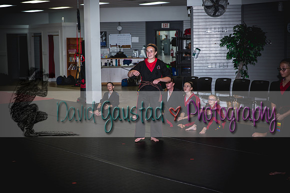 Midwest Professional Karate Black Belt Test 2016