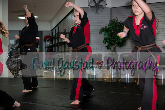 Midwest Professional Karate Black Belt Test 2016