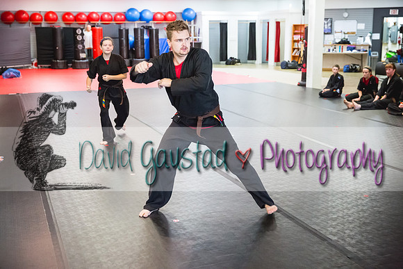 Midwest Professional Karate Black Belt Test 2016