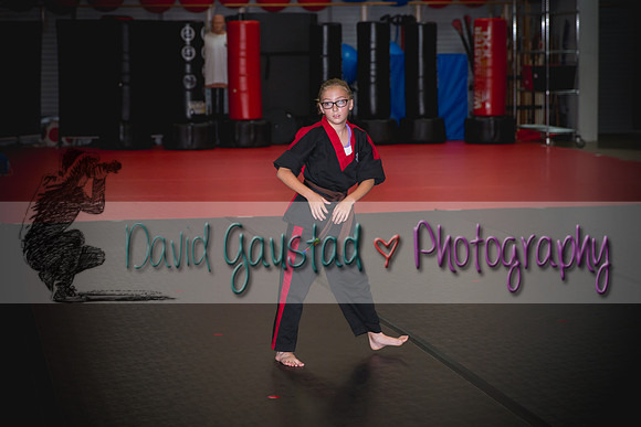 Midwest Professional Karate Black Belt Test 2016