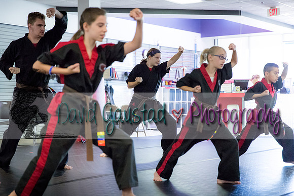 Midwest Professional Karate Black Belt Test 2016